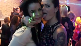 Party goes wild for horny beauties